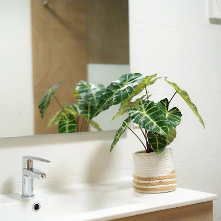 Villa Mis 5 Amores Con Piscina